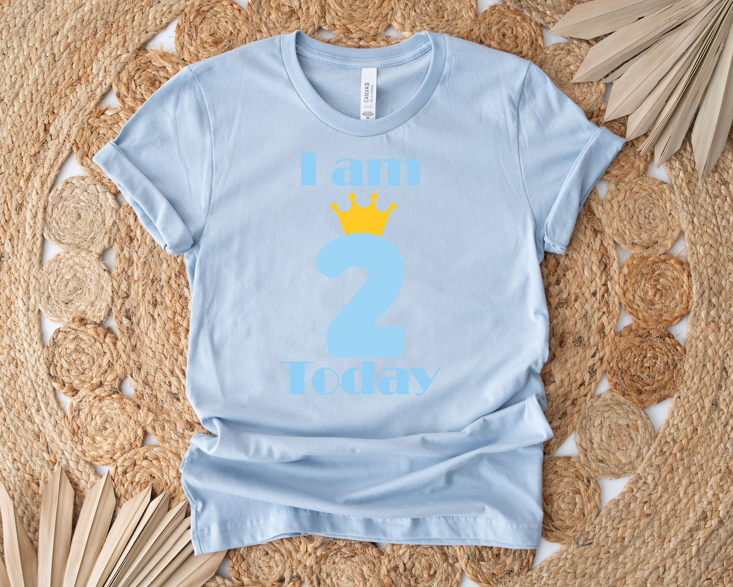 I am 2 Today Boys T Shirt
